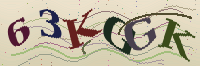 Güvenlik kodu resmi